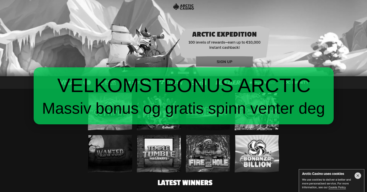 Arctic Casino Nettcasino for Norske Casinospillere
